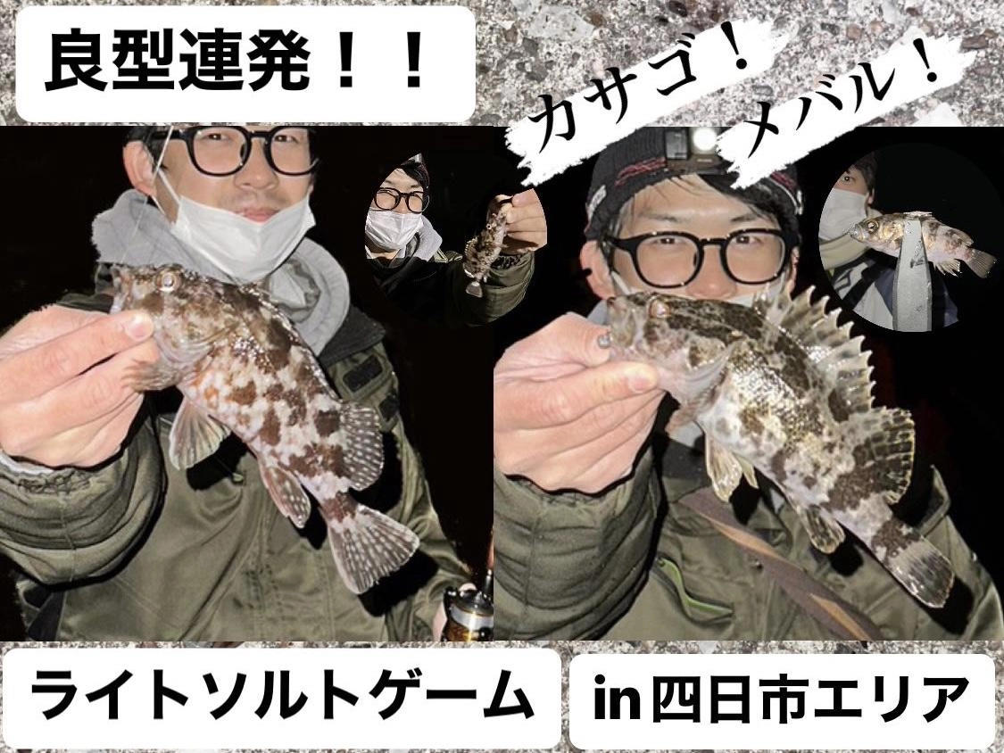 【良型連発！！】ライトソルトゲームin四日市エリア