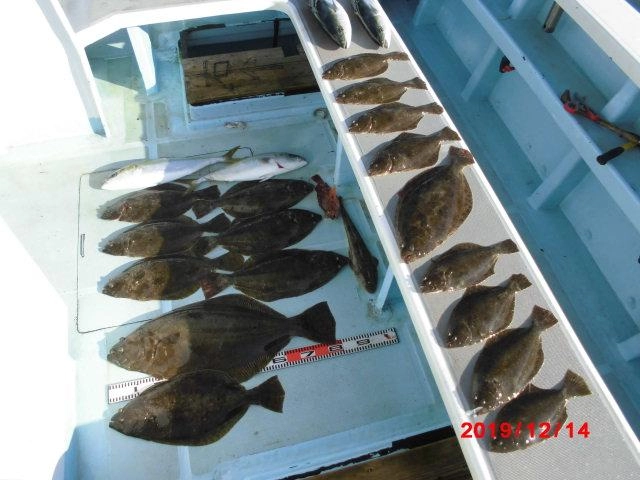 海底にはまだまだ肉厚良型ビラメがウジャウジャッ(о´∀`о)