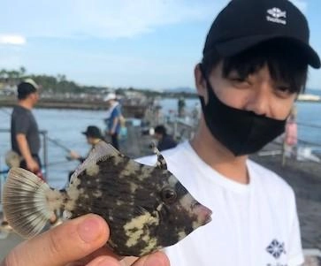 サビキ釣り、ちょい投げ釣りの合間のカワハギ釣りが熱い！