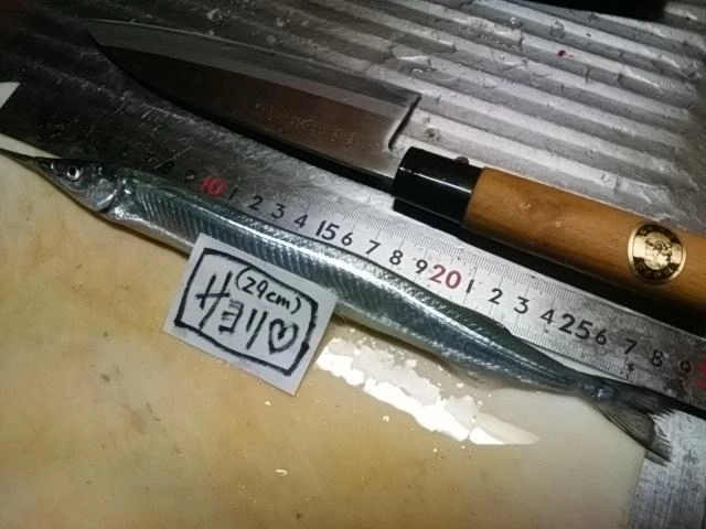 自己新