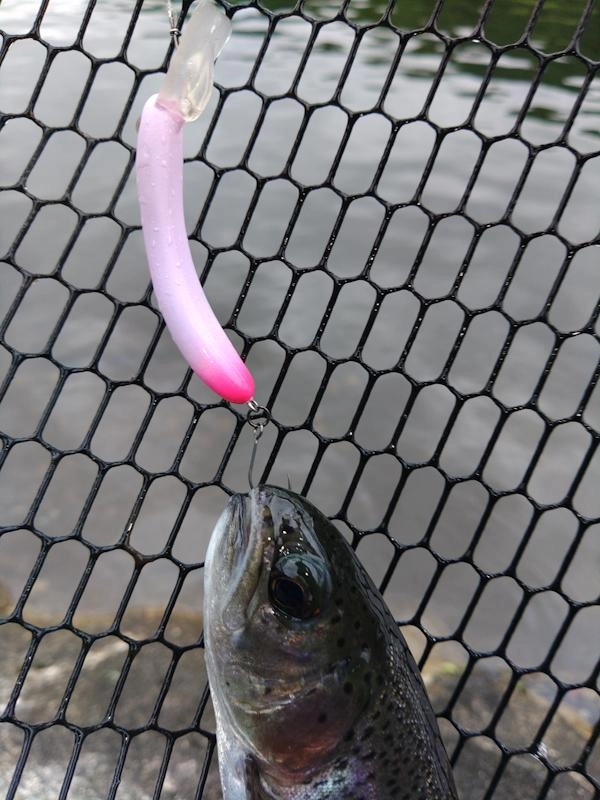 うにょ
表層直下をゆっくり巻いて貰うだけで良く釣れます。