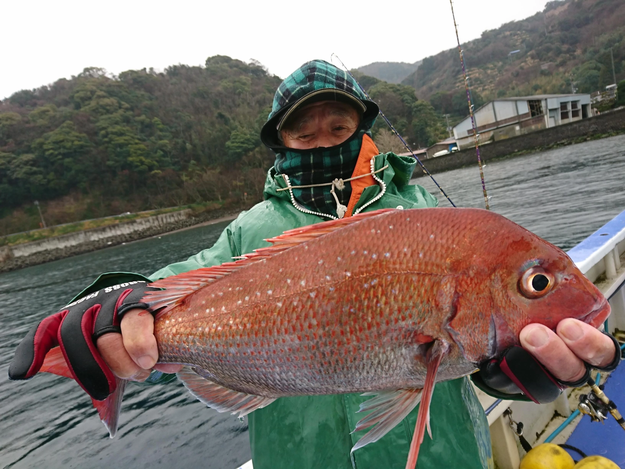 深場のマダイなので、魚の魚体がとてもきれいでした！
