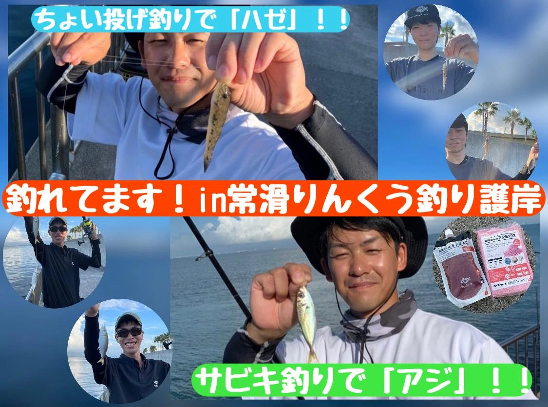 【サビキ釣りでアジ爆釣！ちょい投げでハゼも釣れます】in常滑りんくう釣り護岸