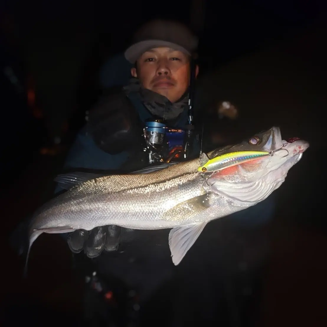 ニコデザインオフィス

ラビット90SP