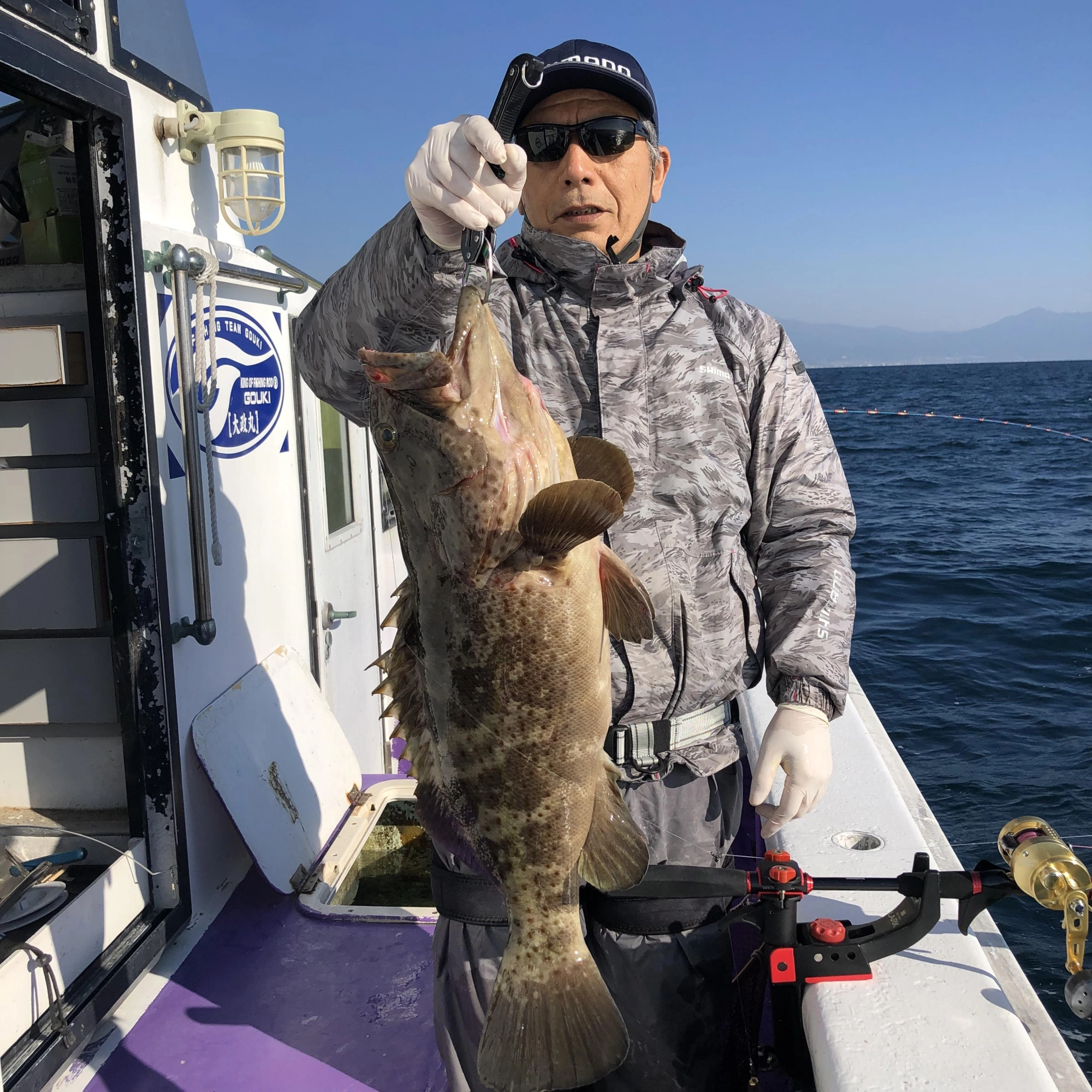 チャイロマルハタ4.5キロ