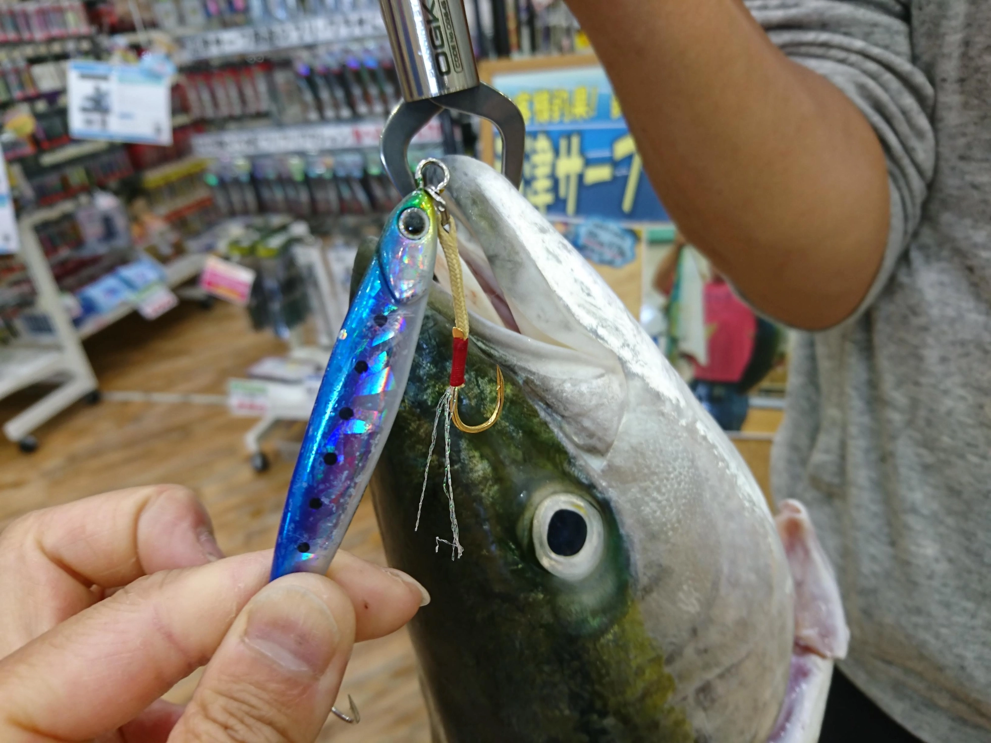 ヒットルアーはジャクソンのギャロップです！