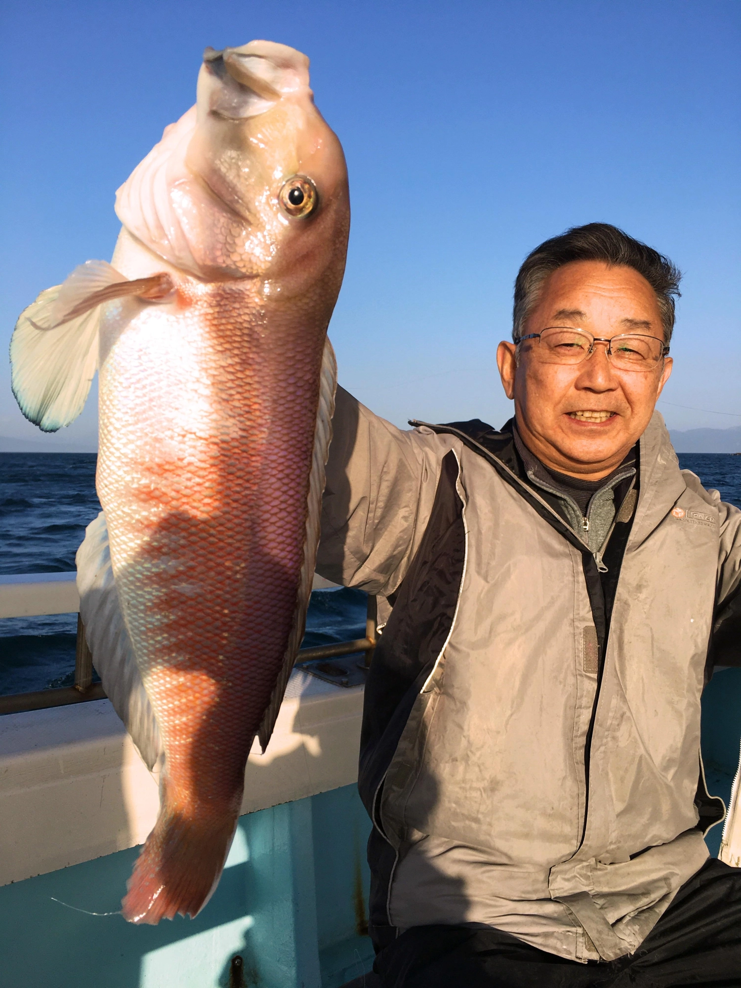 今季　勝率8割