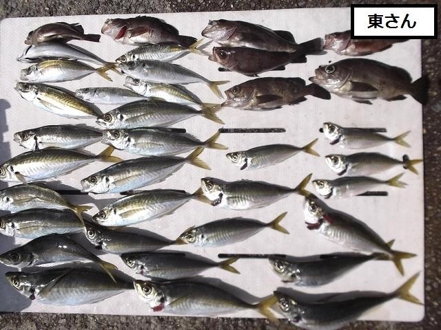 サイズバッチリでした。