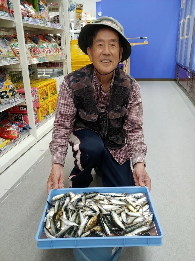 今期初のサビキ釣りに豆アジ＆小サバ大漁でした。