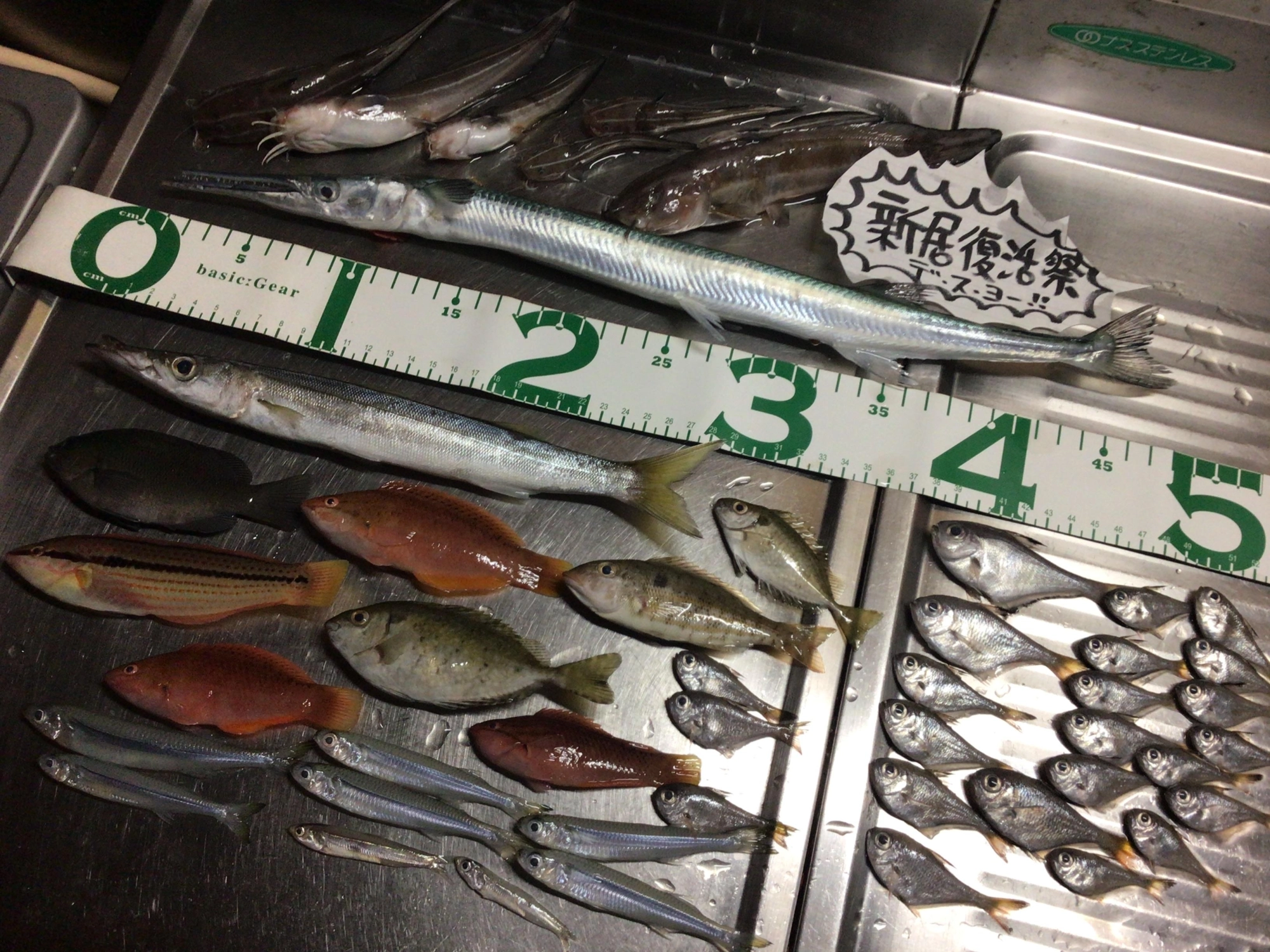 魚種豊富デス❗️、、、新居海釣り公園の真骨頂♪