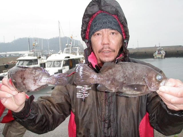 29ｃｍの大メバルＧＥＴ