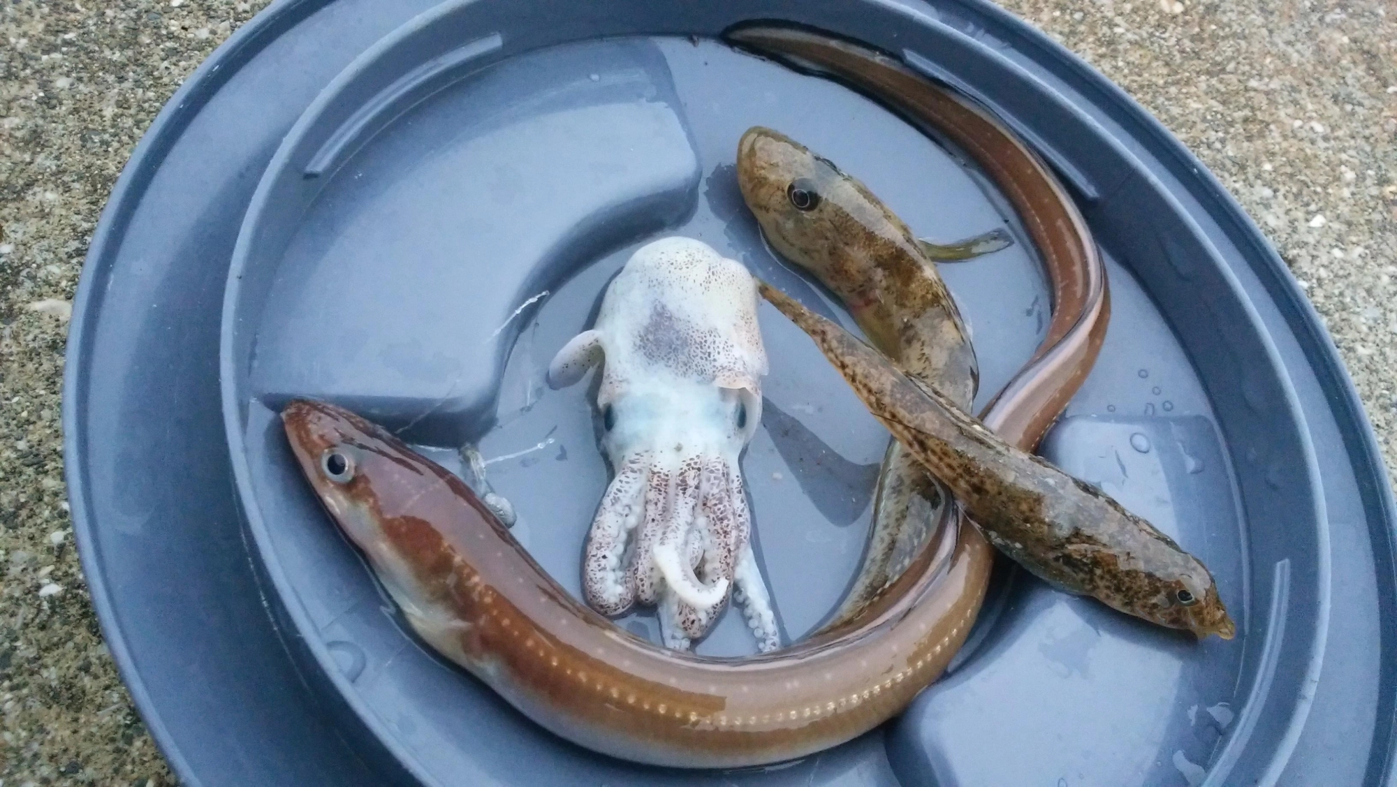 恵みに感謝♪