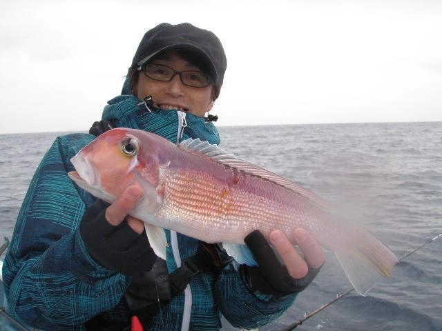 ３０後半がアベレージサイズ。東伊豆のアマダイは良型が揃います！