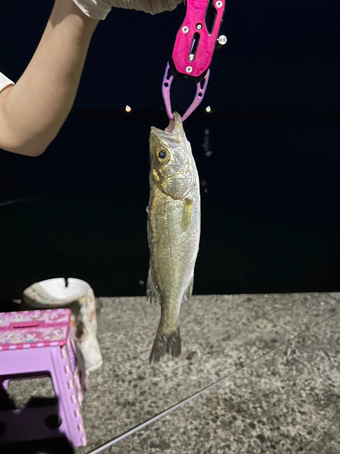 ｽｽﾞｷが釣れてビックリですwww