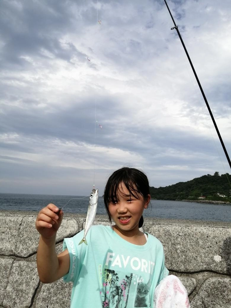 投げサビキではサバが釣れていました。