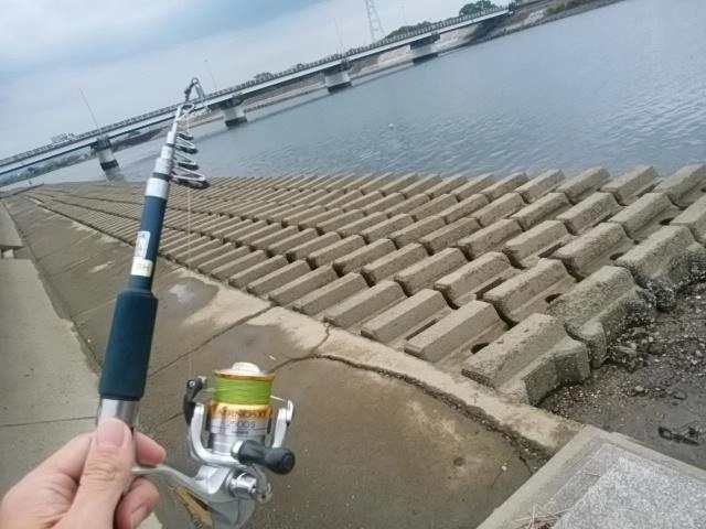 初エリアの調査！