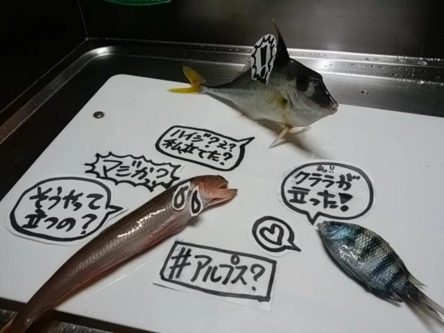 感動的？