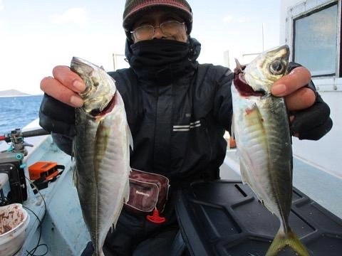 こちらの常連様は初冬デカマアジを沢山、釣り上げてましたよッ(・∀・)