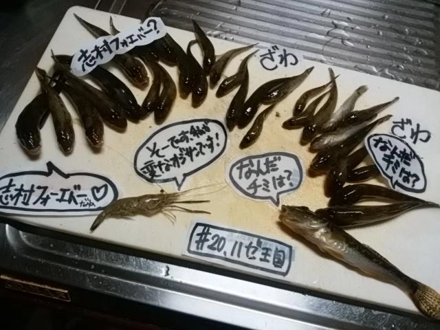 恵みに感謝！