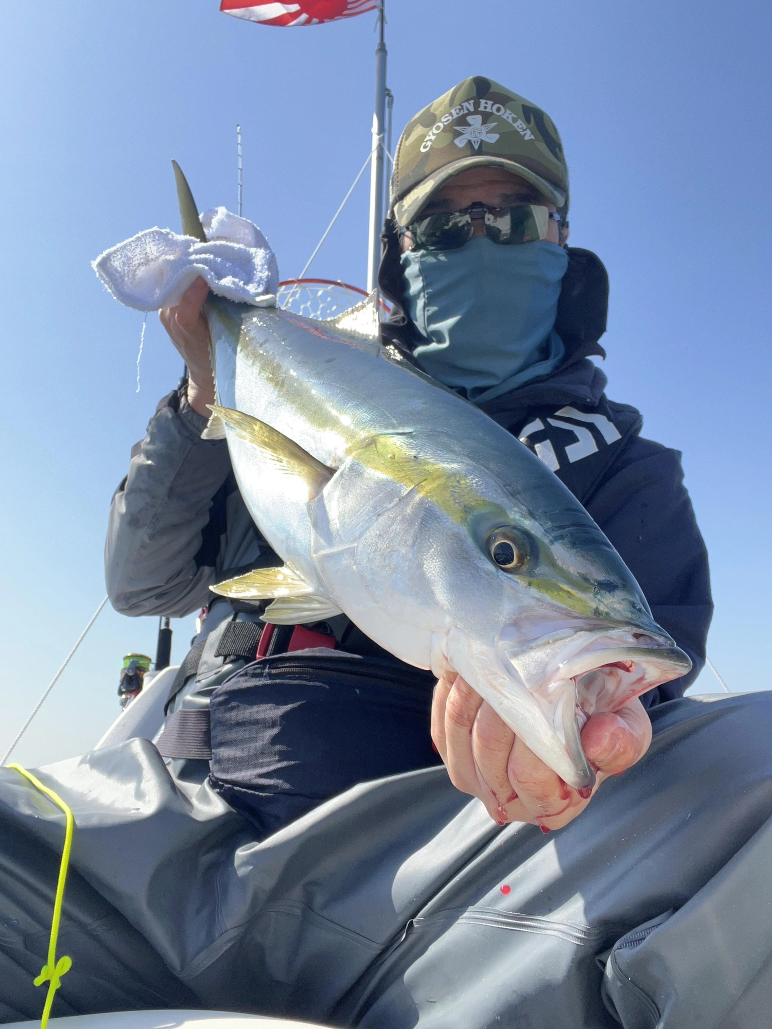 伊勢湾のワラサは凄く引きがあります。