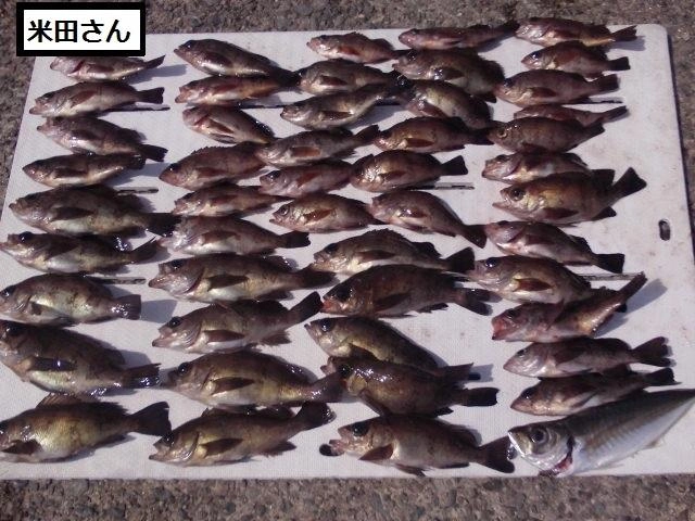 時化模様でしたが大漁！