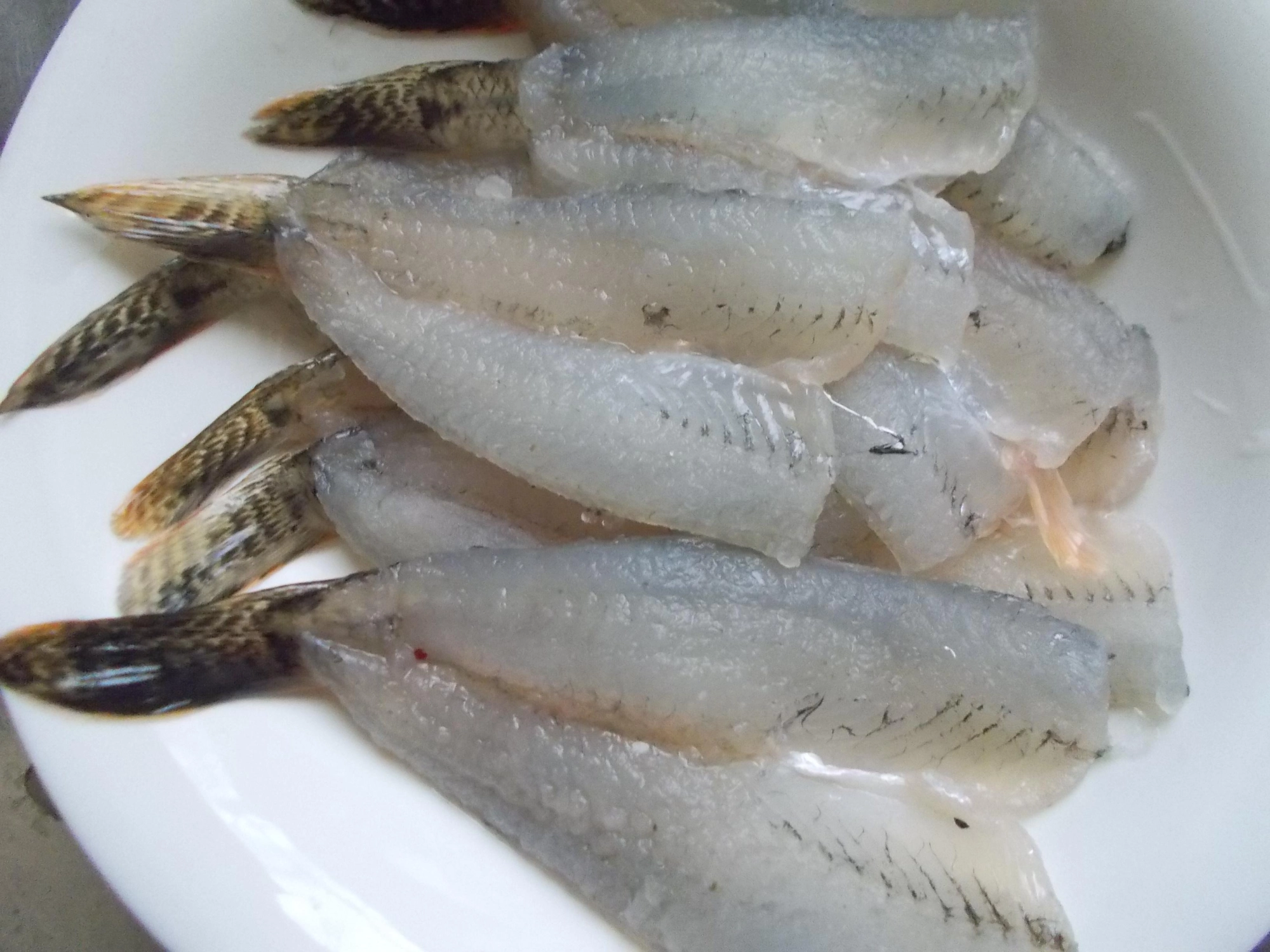 釣れたハゼはきれいに開き美味しく頂こう！オススメはフライ、病みつきになる美味しさです。