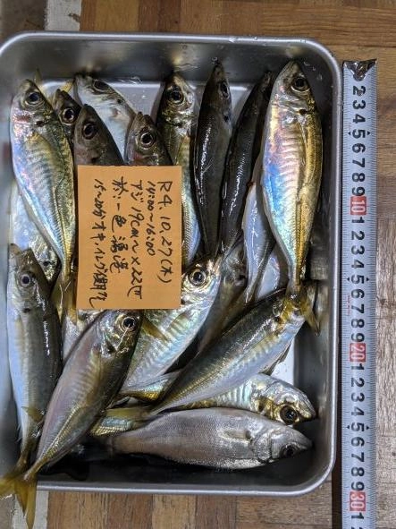 １５～２０分おき位でパラパラと来た。
イレグイはなかった。この潮で終わってほしくない。
皆でコマセを入れまくりましょう。
久々の日中2時間シリーズ続報でした。