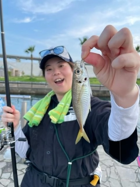 アジは食べ応えのあるサイズになってきました！