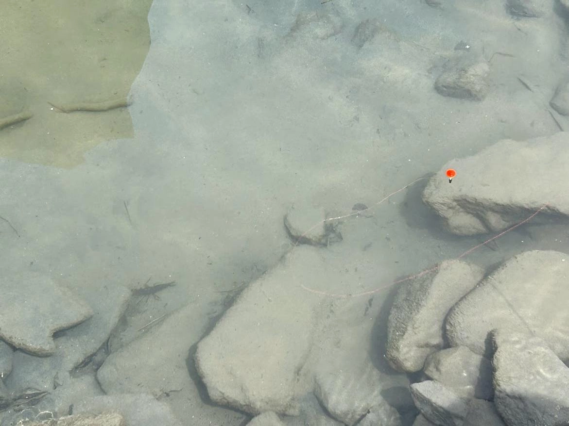 水深が浅い場所は岩陰を狙います