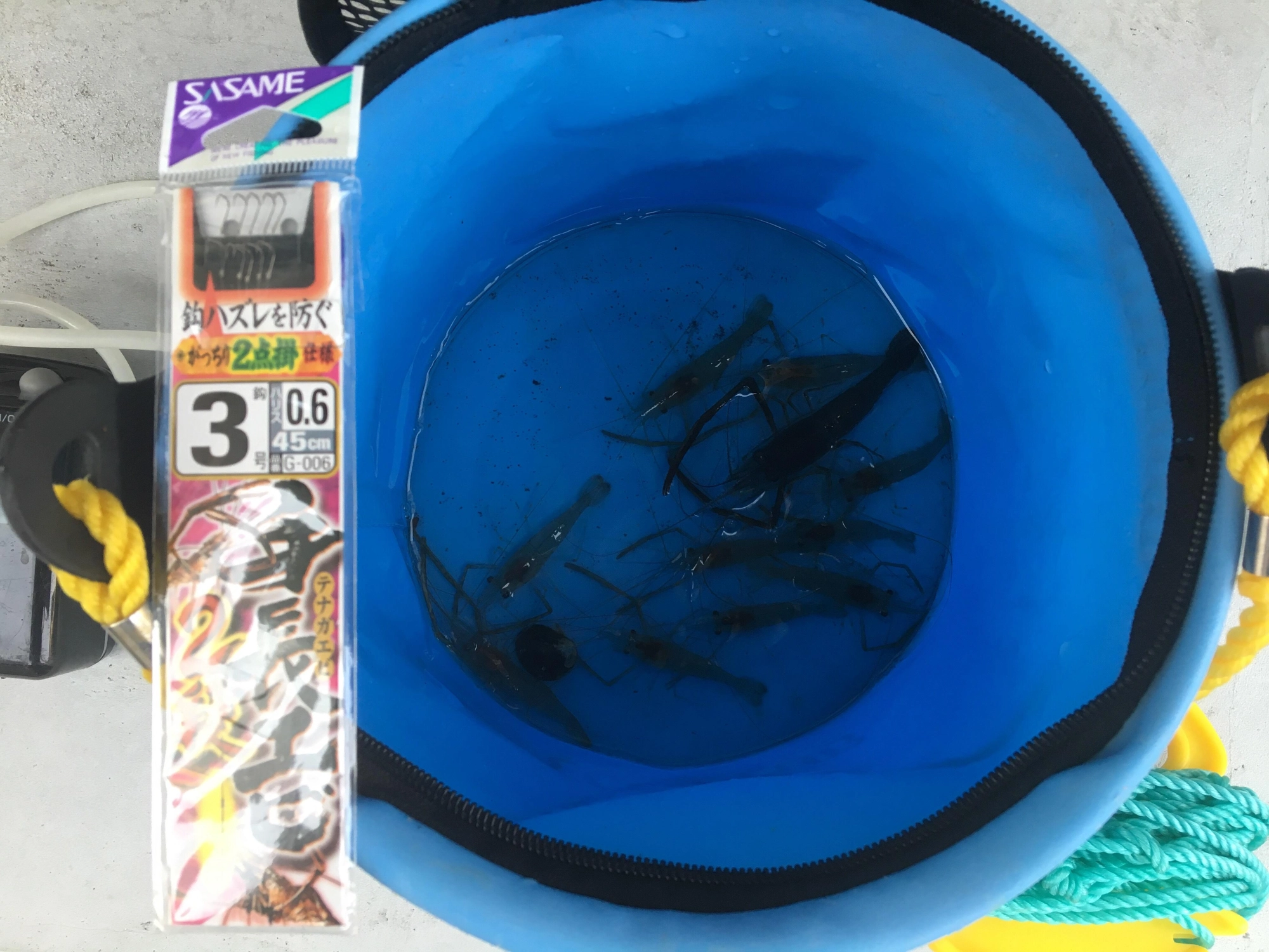 針はササメの手長エビ2段を使用。