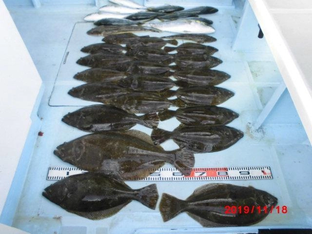 連日のヒラメボウズ無しは当たり前、青物は狙わなくても勝手に食ってきちゃう食いッ(￣∀￣)！！