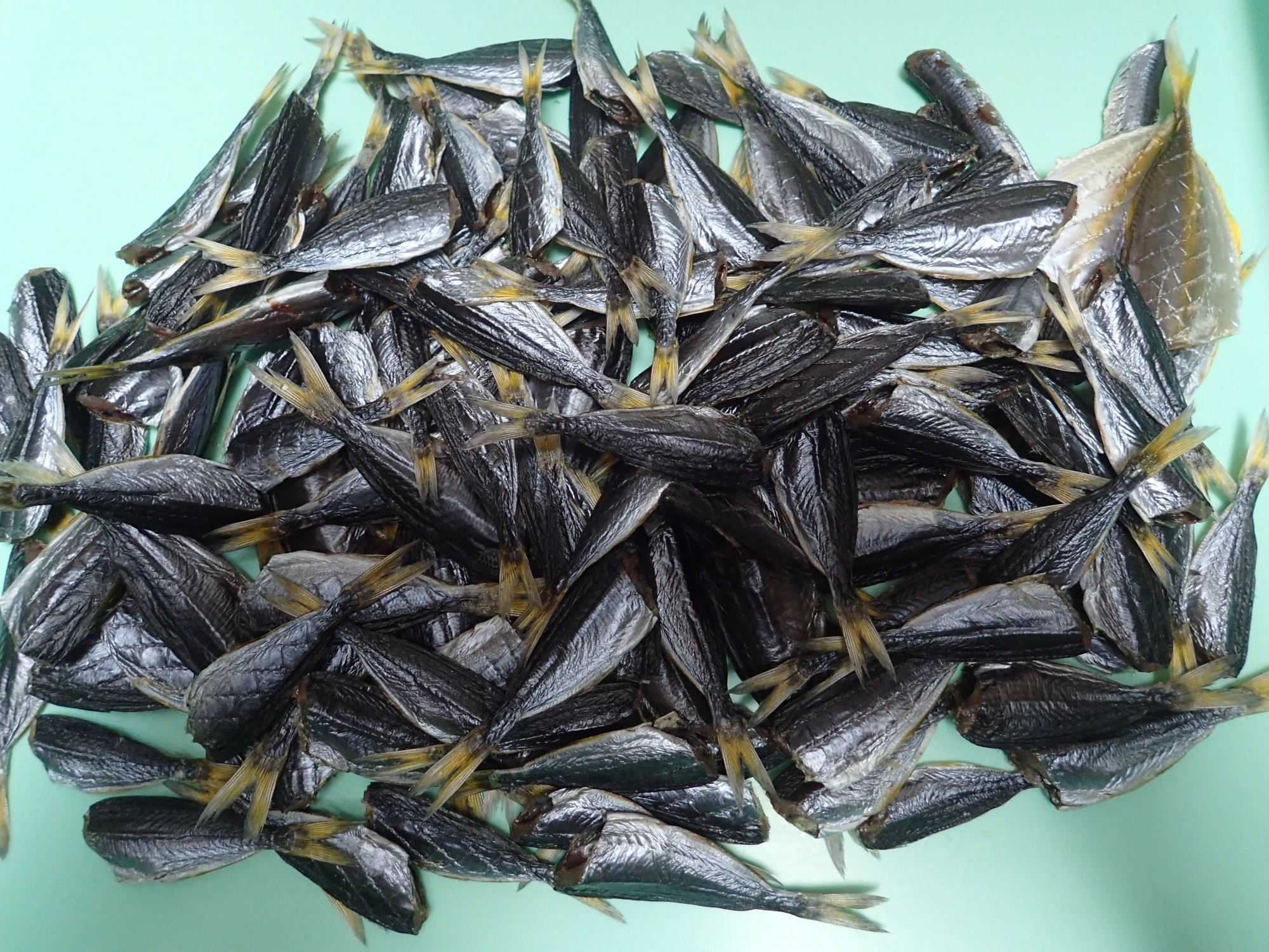 タカベの干物はサイコーです！