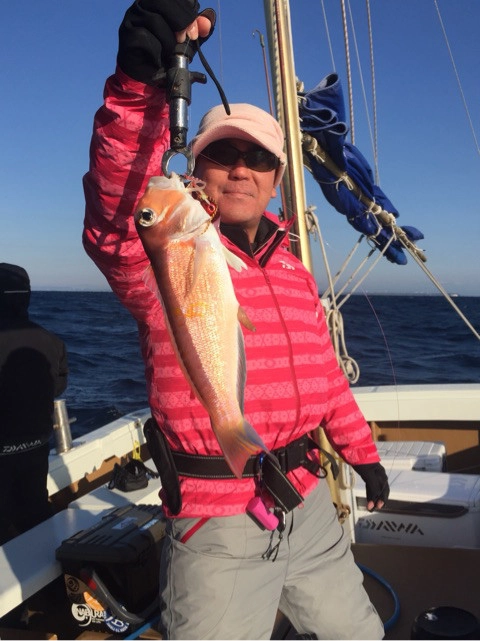 高級魚のアマダイも釣れます