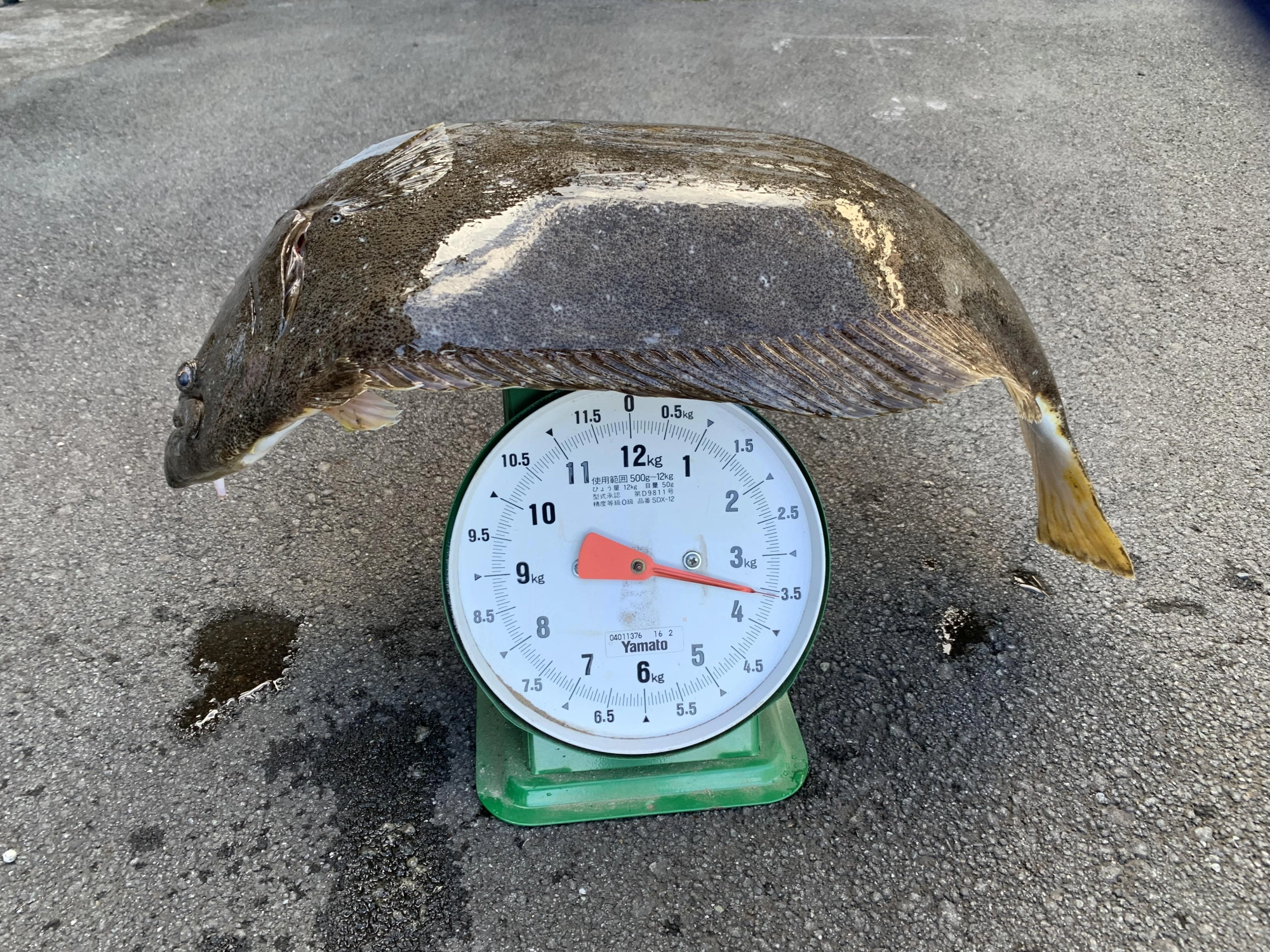 重さは　3.6Kg