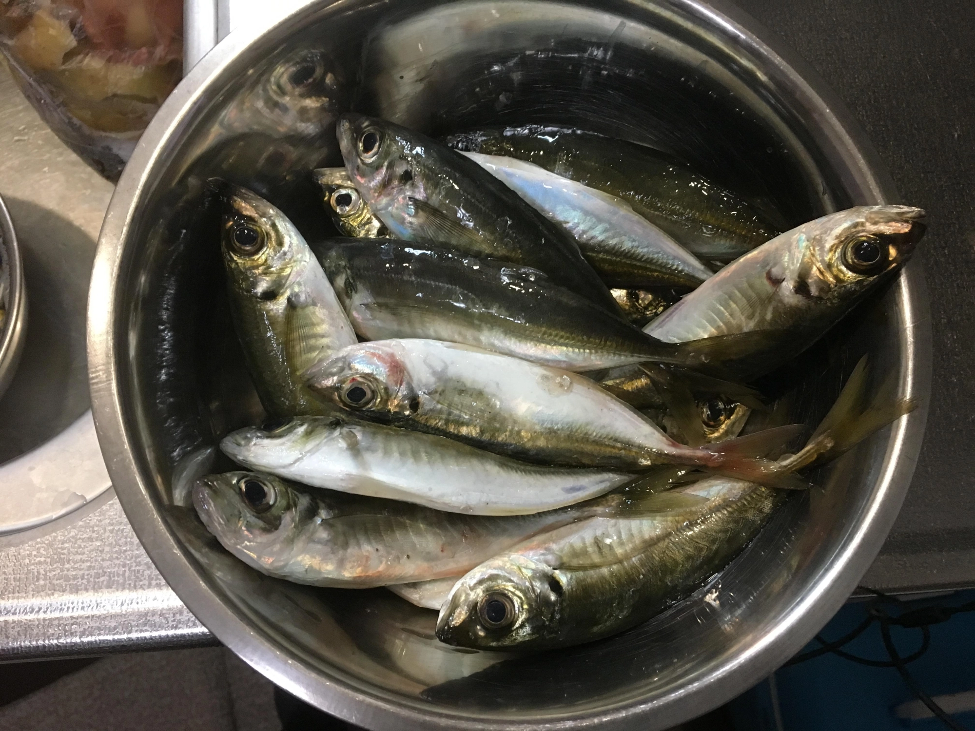 アジおいしそう