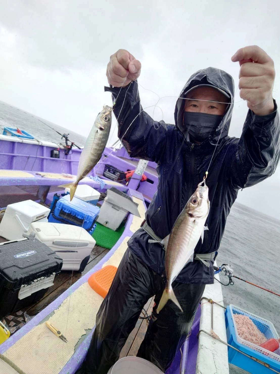 良型のアジ釣れてます！