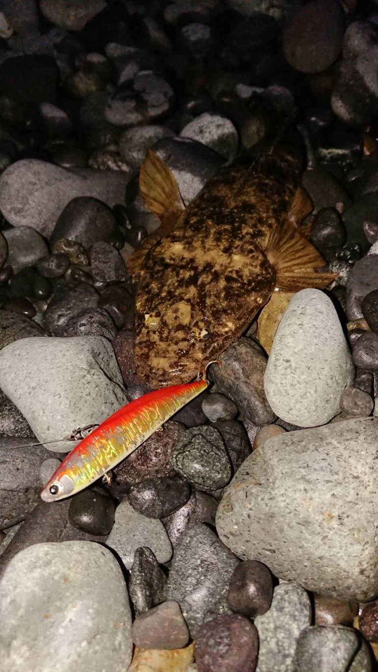 エフリードバイブでマゴチ釣れました！