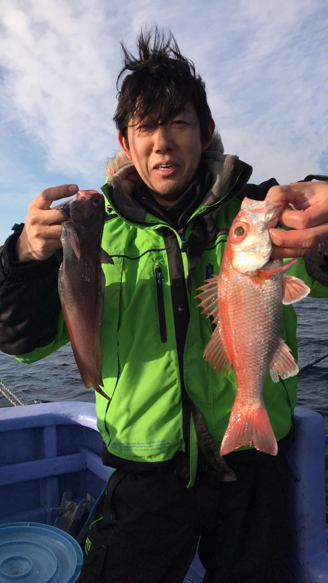 どんこ