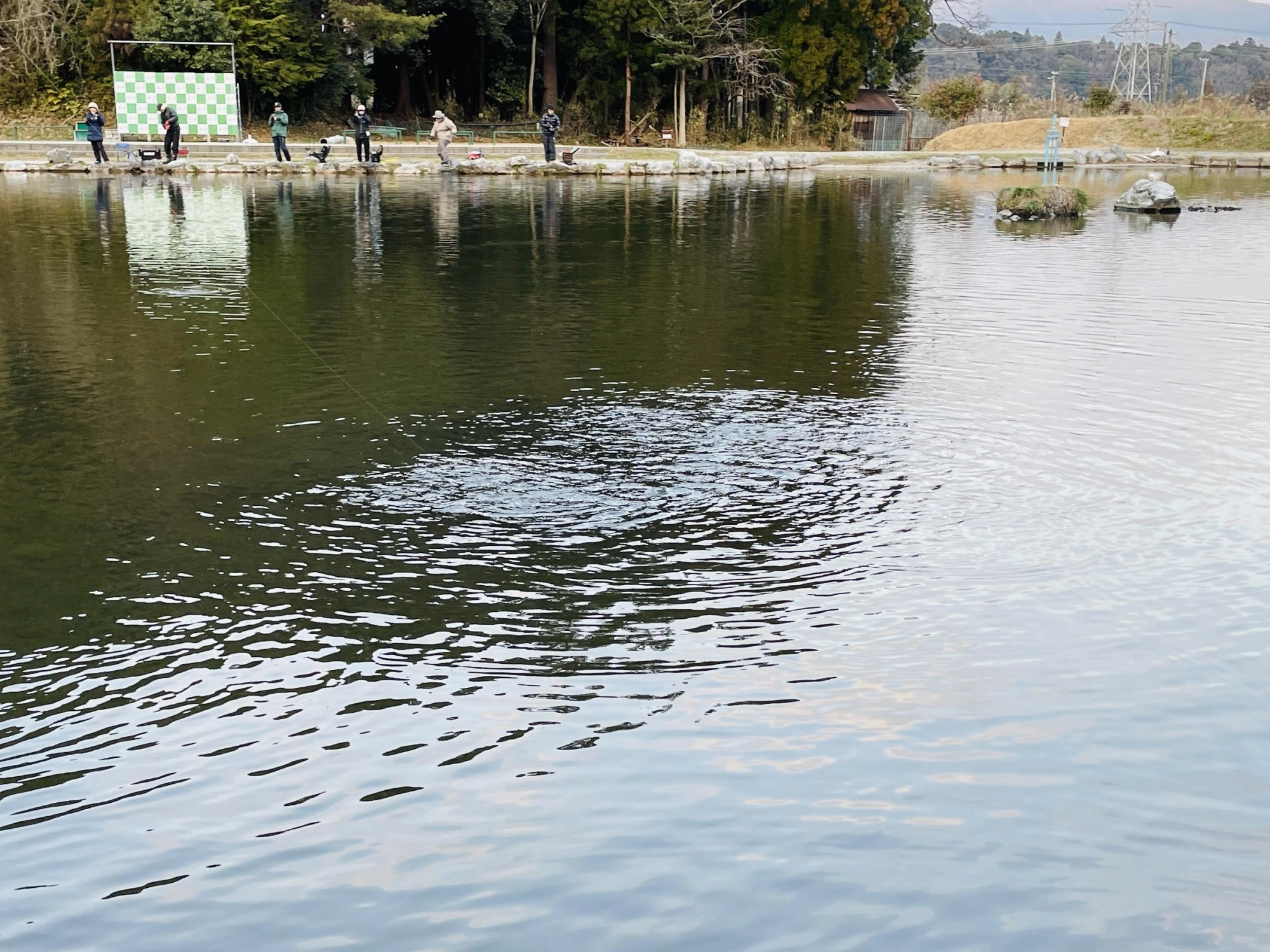 ペレットタイムは激アツ！
手返し良く釣るのが
数を伸ばすコツですよ！