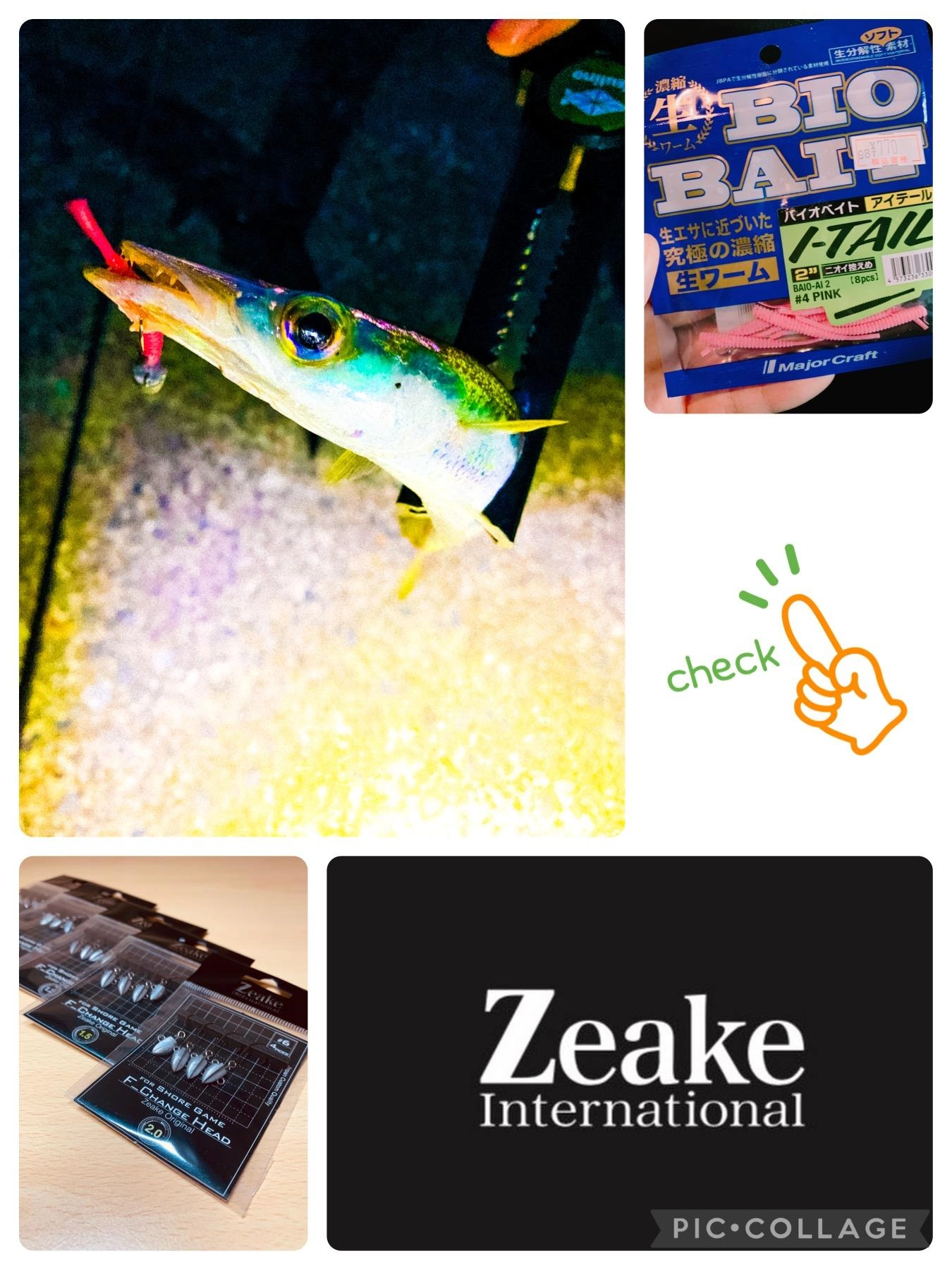 ロッドはZeakeヴェルザードS74。ワームはメジャークラフトのバイオベイトを使用。
