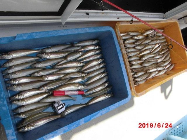 わたくしの操船しながら晩御飯のオカズを確保しましたよッ(^-^)