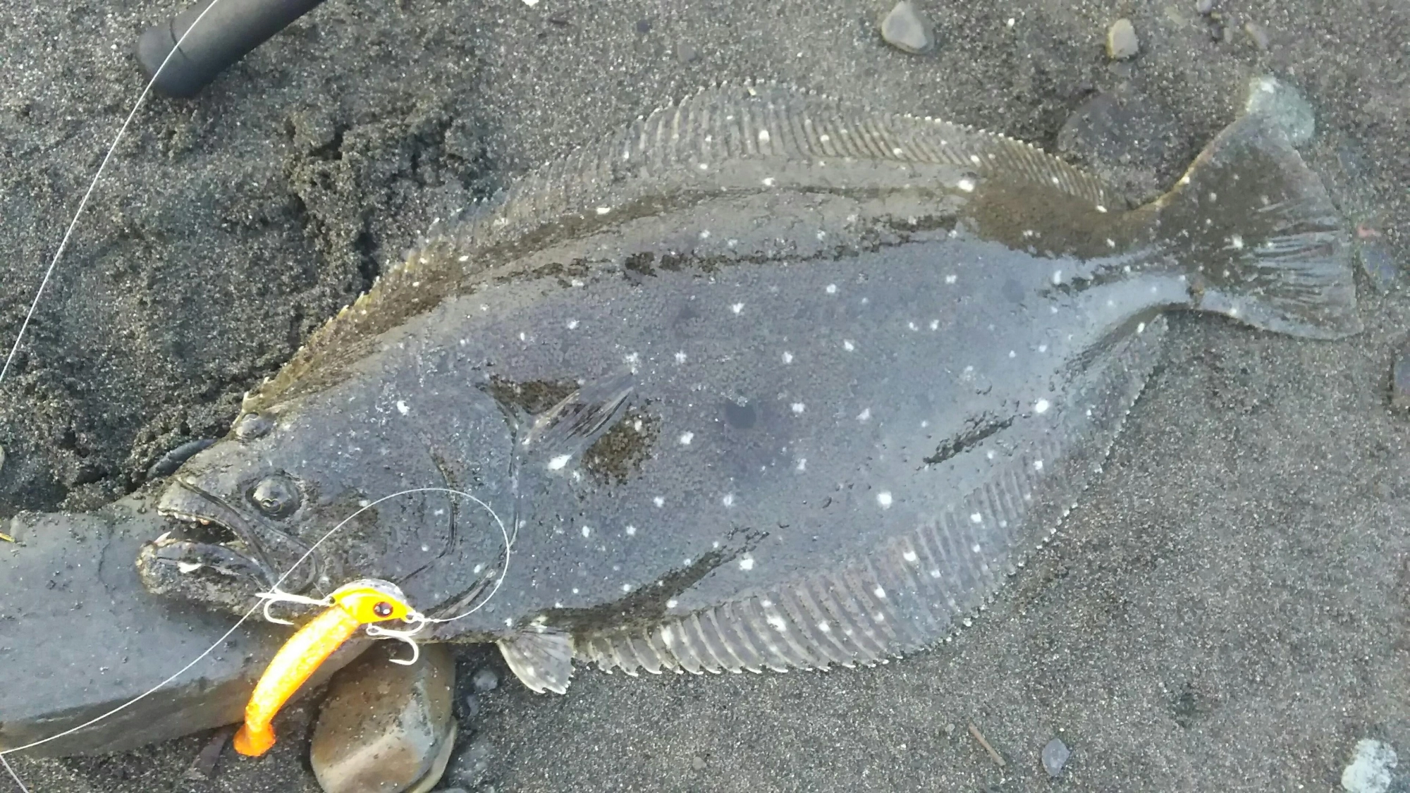 フラッグシャッド４インチ　オレキンザブトン
４５ヘッド２８ｇ　オレキンザブトン
がっぷり食ってます♪