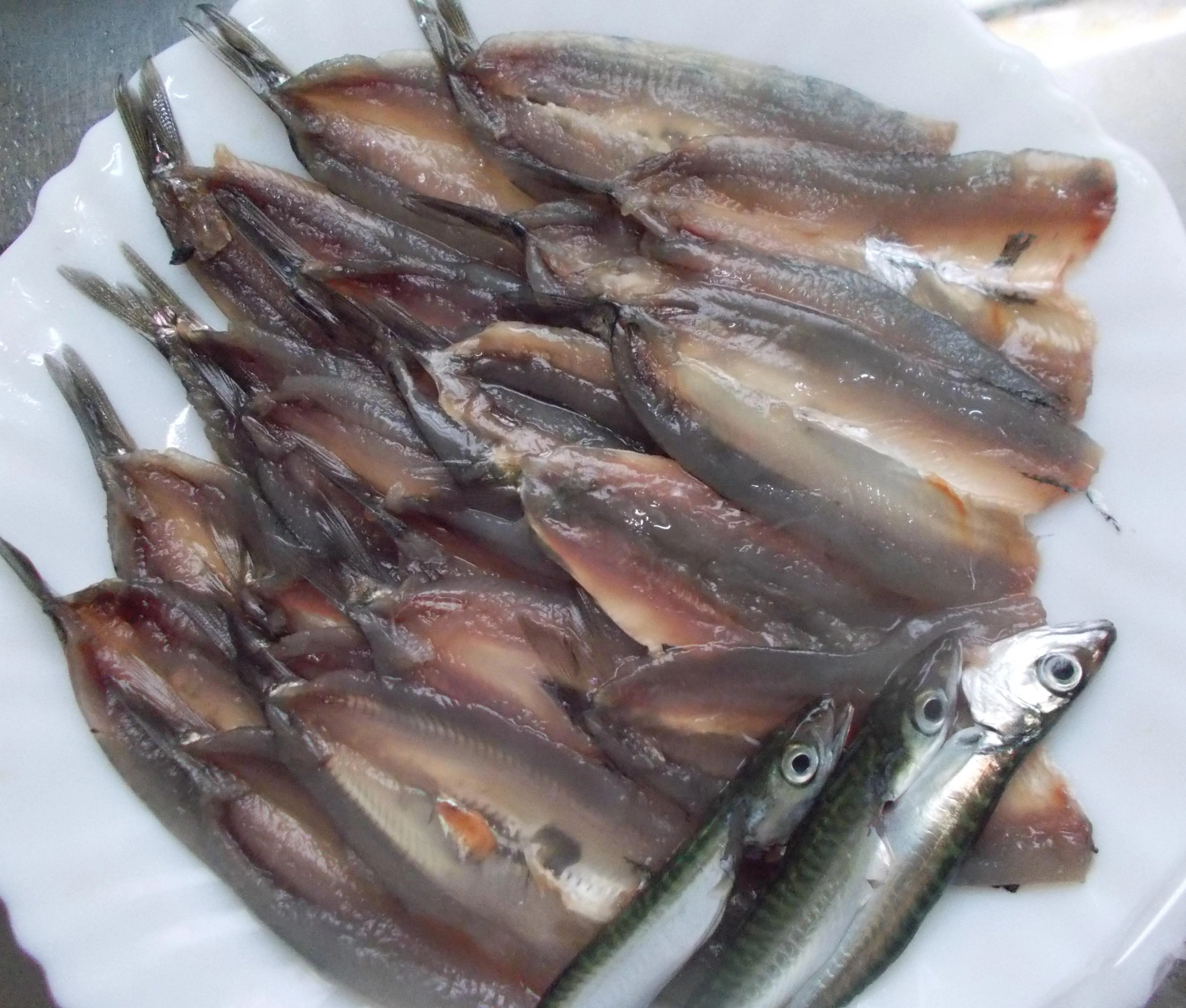 釣れた魚は開いてフライでいただく予定です♪