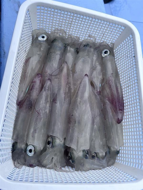 水深は50～60ｍ前後の水深。ダブルヒットもありました！