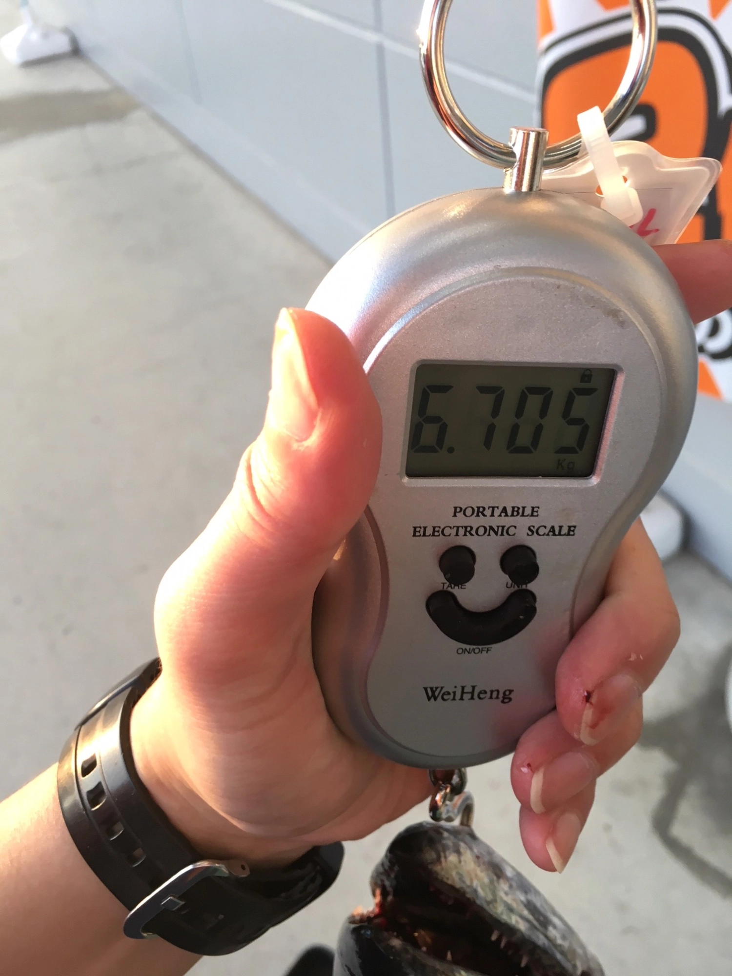 ゴン太サワラは6.7キロオーバー!!