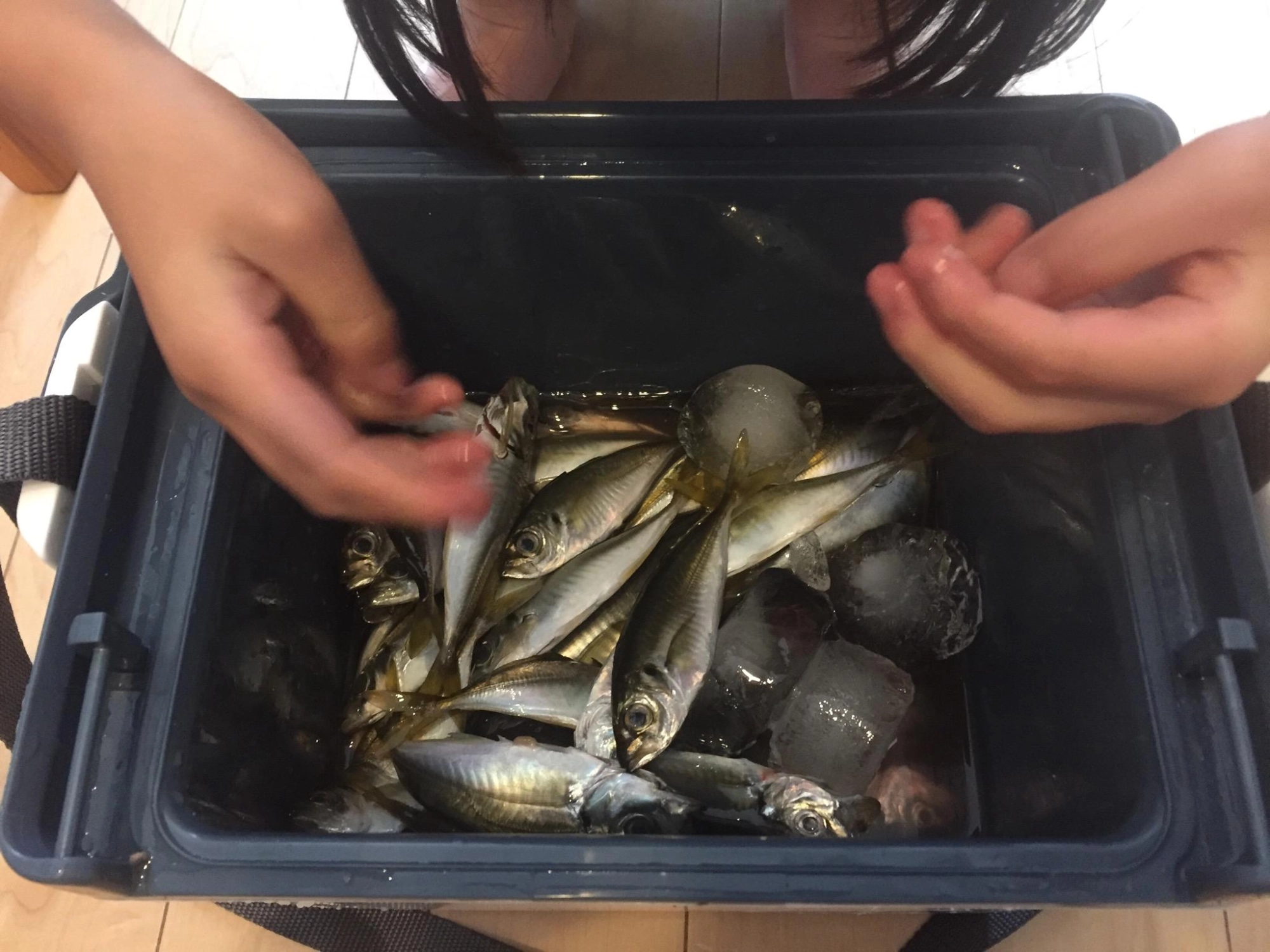 小アジ30匹