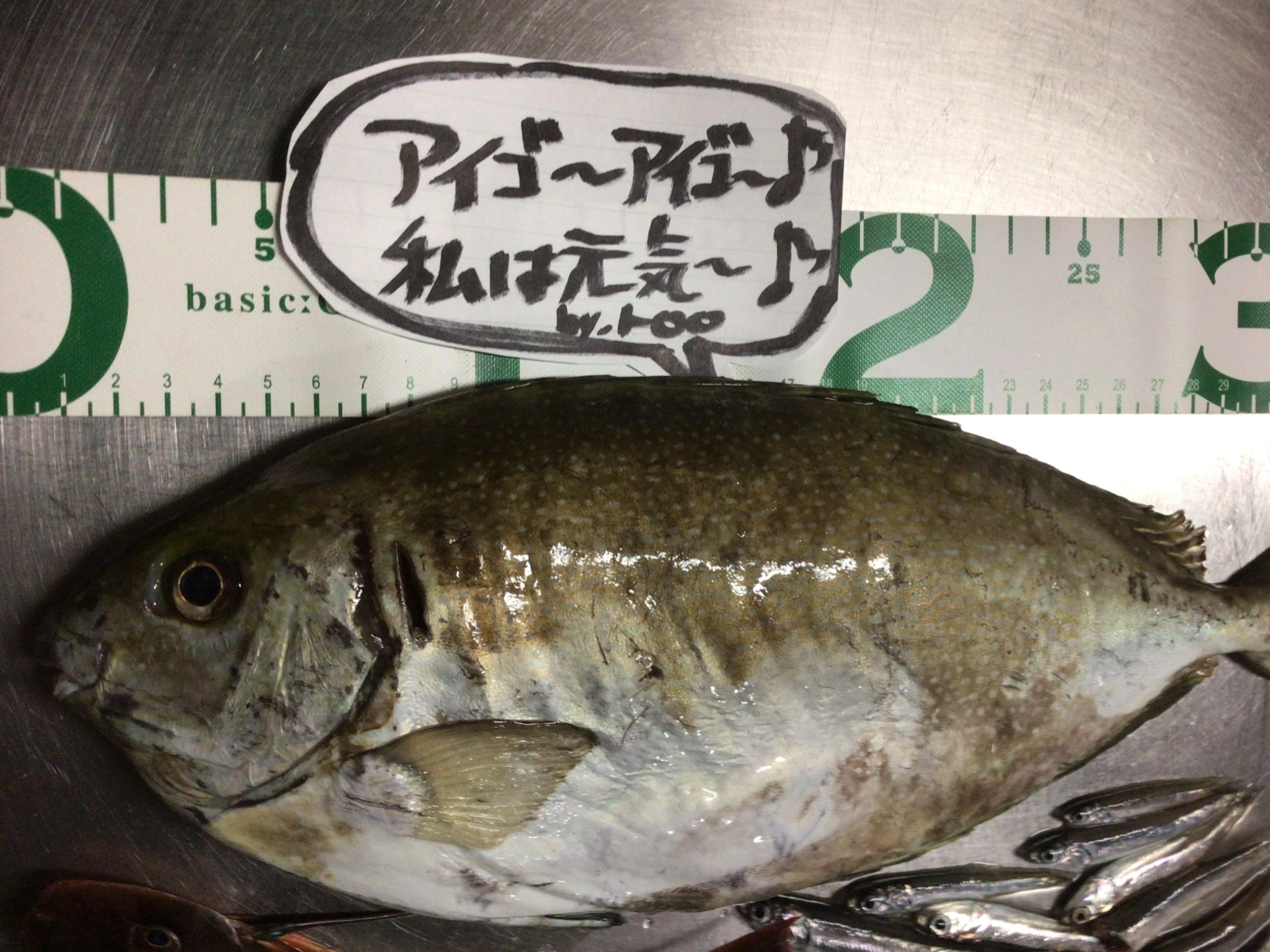 毒あるよ〜。