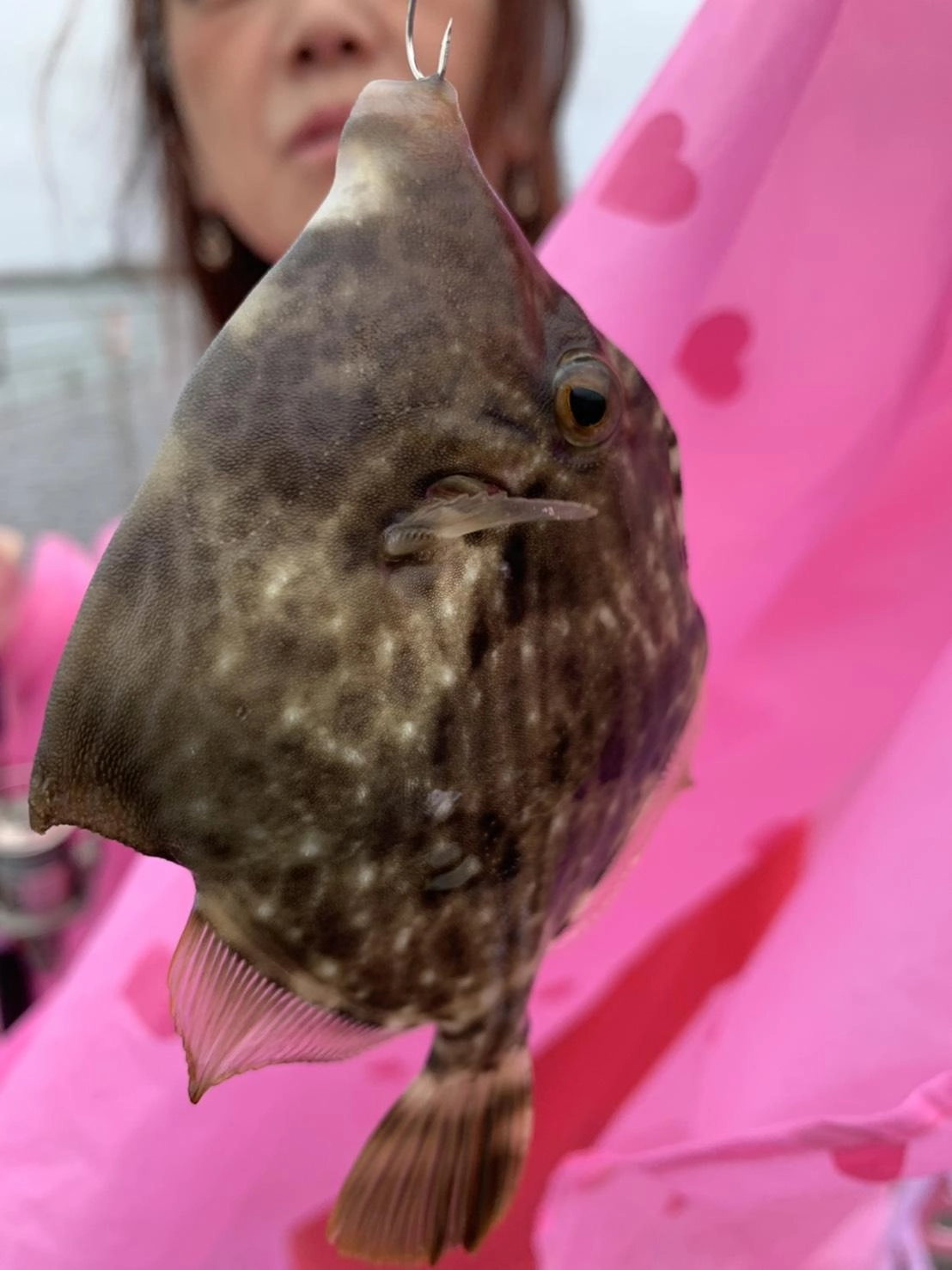えー！カワハギ釣れちゃった〜
(*´艸｀*)