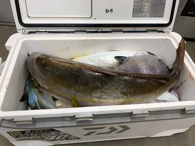 連日多種多様入れ食い！