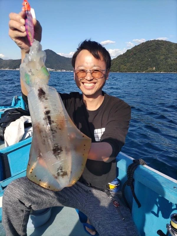 沼津湾内アオリイカ好調です！